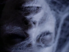 Zadok, Kuřba, Spermie v puse, Na psíka, Skupina, Honění, Hardcore, Teenka