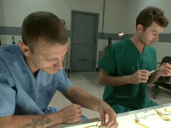 Anál, Bdsm, Kuřba, Bondáž, Poníženie, Bolesť, Trest, Natvrdo