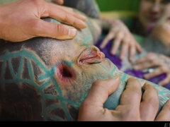 Anál, Blondína, Péro, Hardcore, Teenka, Švédska rojka