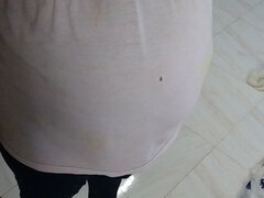 Gravid