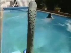 German beauty (2001)