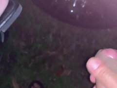 Bbw, Velký zadek, Velké kozy, Auto, Mezirasové, Různé pohledy