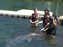 Amatőr, Popó, Fürdő ruha, Lábszex, Nagylány, Bugyi, Nuni, Aludni