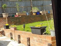 Leie, Wohlbeleibte schöne frauen, Flashen, Lingerie, Im freien, Öffentlich, Solo