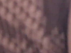 Amatéři, Velké kozy, Kuřba, Různé pohledy, Jezdectví, Tetování