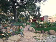 Bella grossa formosa, Culo grosso, Tette grandi, Pompino, Di colore, Interrazziale