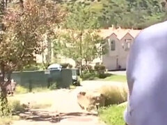 Поза 69, Жопа, Большая жопа, Большие сиськи, Милф, Сиськи