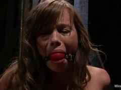 Anal, Bondage domination sadisme masochisme, Hard, Esclave, Fessée, Strapon, Tatouage, Jouets