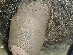 Любители, Волосатые, Индианки