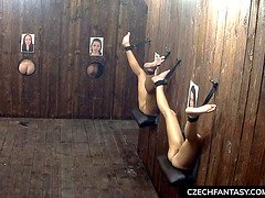 Amatoriale, Bondage sadomaso, Cieca, Buco della gloria, Enorme, Festa, Urlando, Tette