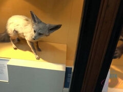 素人, フェラチオ, ジーンズ, ハメ撮り, オマンコ, 剃毛, ガリガリ, 喫煙