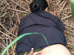 Indian Sex Video of Sister-in-law's Ass Being Fucked in the Sugarcane Field