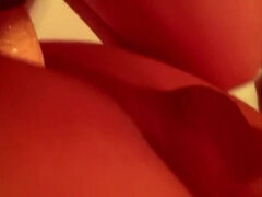 Futanari, Transexual