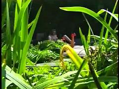 Mia Smiles  Chelsea Blue have poolside fun: Big Tits, Babe  Big Ass Porn