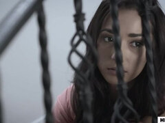 Amerikansk, Avsugning, Brunett, Universitet, Slick, Naturliga tuttar, Fitta, Tuttar