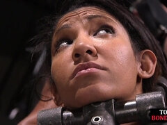 Bondage disciplin sadomasochisme, Smuk, Store bryster, Klassisk, Give finger, Brystvorter, Orgasme, Spanking