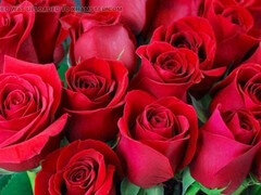 But fuck, bangladeshi, mature