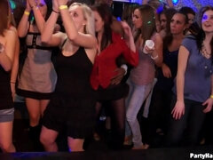 Lieveling, Blond, Bruinharig, Groep, Hardcore, Orgie, Feest