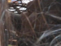 Leie, Paar, Handjob, Hd, Selbstgemacht, Indisch, Nackt, Erotischer film