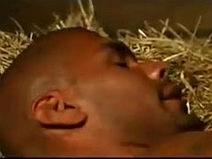 Laura Hermansen sucks and fucks a big black cock ft. Samson Biceps: Blowjob, Doggy  Cowgirl Porn