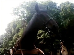 Σαδομαζοχιστικό, Ξανθιά, Φετιχ, Ελαφρύ, Χτύπημα, Έφηβος, Ρετρό