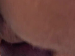 Amatőr, Monumentális dákó, Apu, Európai, Érett koros, Hármas