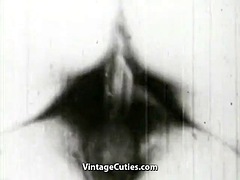 Amateur, Sucer une bite, Poilue, Mature, Rétro ancien