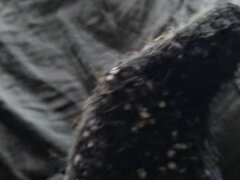 Fuzzy Sock Foot Peek-a-boo