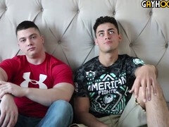 Bottommuscled, bears, top to bottom