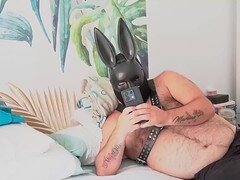 Amatéři, Kuřba, Macaté, Gay, Španělské, Švédská rojka