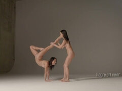 Črnke, Flexible, Bradavičke, Majhen, Obrito, Joške