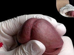 Glans Game with White Latex Gloves in Super-closeup