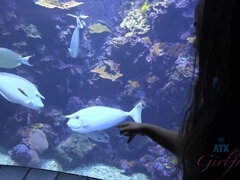 The Maui Ocean Center was fun