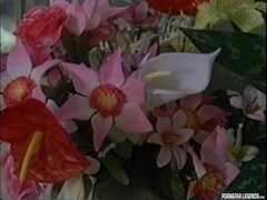 Lieveling, Blond, Gezichtzitten, Likken, Natuurlijke tieten, Realiteit, Tieten likken, Oud