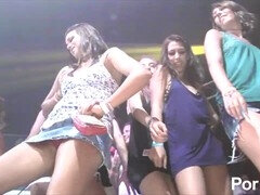 Celebrita, Klub, Na verejnosti