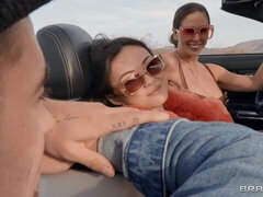 Veľký zadok, Veľké péro, Veľké kozy, Kuřba, Na psíka, Milf  mčbp, Teenka, Švédska rojka