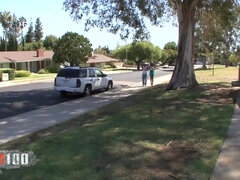 Veľké péro, Kuřba, Prsnatá, Pár, Na psíka, Na tvár, Vyholené, Kozičky