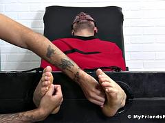 Homo