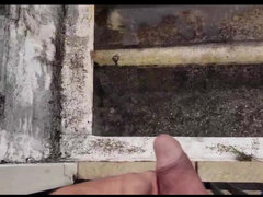 Amatéři, Velké péro, Venku, Pissing, Různé pohledy, Sólo