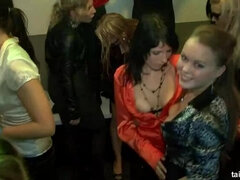 ブロンド, チン, レザー, 下着, オマンコ, 馬乗り, スインガー, 濡れ