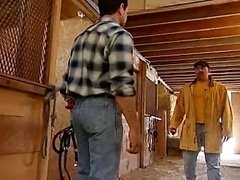 hot cowboys bang in barn