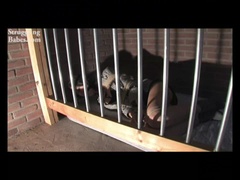 Business Babe Behind Bars