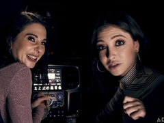 Gesztenyebarna, Összeállítás, Ondó fröcskölés, Kutya póz, Kézimunka, Csókolózás, Leborotvált, Tini