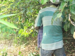 18, Afrykański, Amatorka, Czarny, Farma, Drobna, Nastolatki, Trójkąt