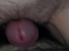 Fuck My Stepsisters Hairy Tight Pussy Porn Videos