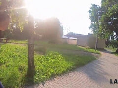 Gesztenyebarna, Döci, Kutya póz, Európai, Kőkemény, Hd, Iroda, Durva