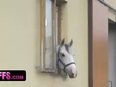 Kisbaba, Cumizás, Arcra élvezés, Négyes, Hd, Óriási, Buli, Visítozás