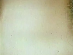 Zvezdnice, Rusinja, Retro