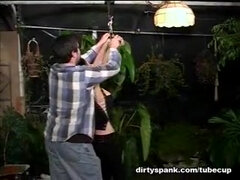 Bondage disciplin sadomasochisme, Smuk, Klassisk, Sød, Fetish, Orgasme, Fisse, Spanking