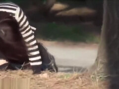 Asiater, Skole, Japaner